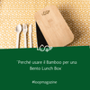 Perché usare il Bamboo per una Bento Lunch Box